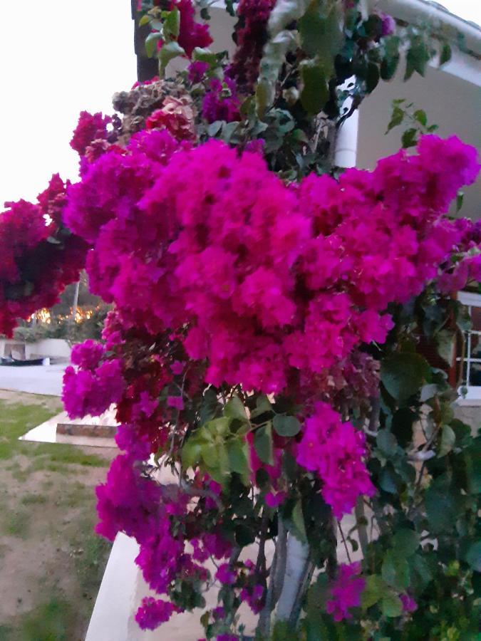 קסקאיס Villa Tumbine מראה חיצוני תמונה